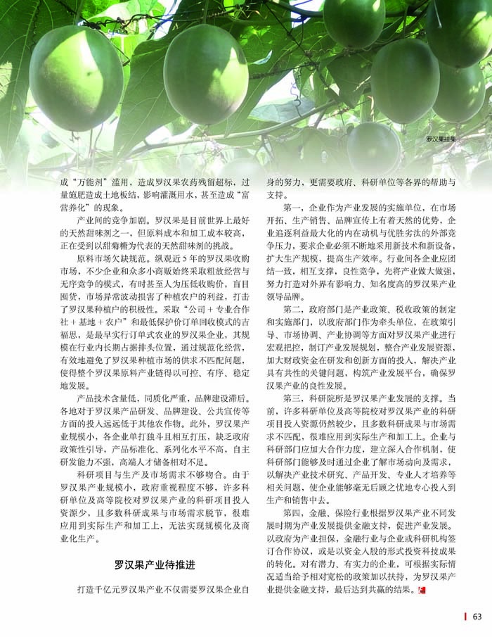 桂林吉福思罗汉果有限公司