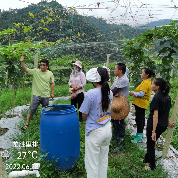 桂林吉福思罗汉果有限公司