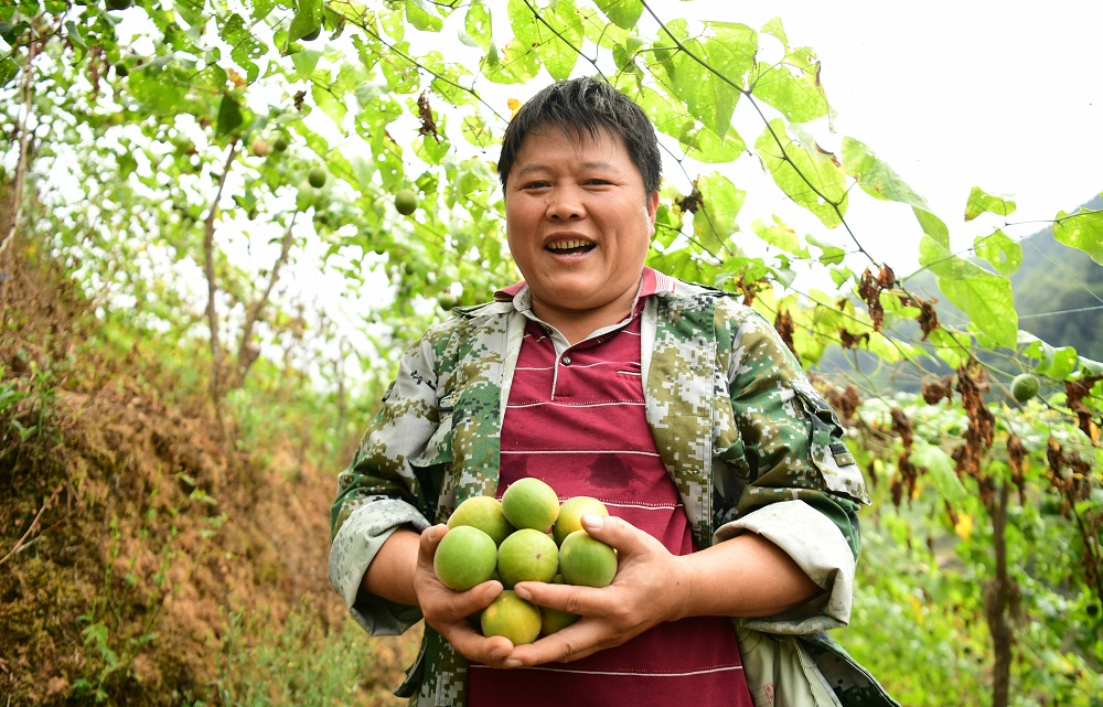 桂林吉福思罗汉果有限公司