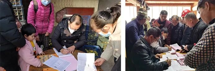 桂林吉福思罗汉果有限公司