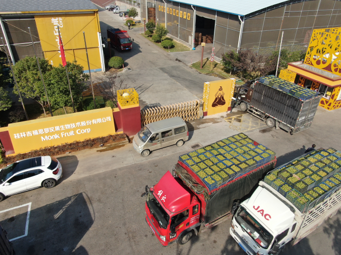 桂林吉福思罗汉果有限公司