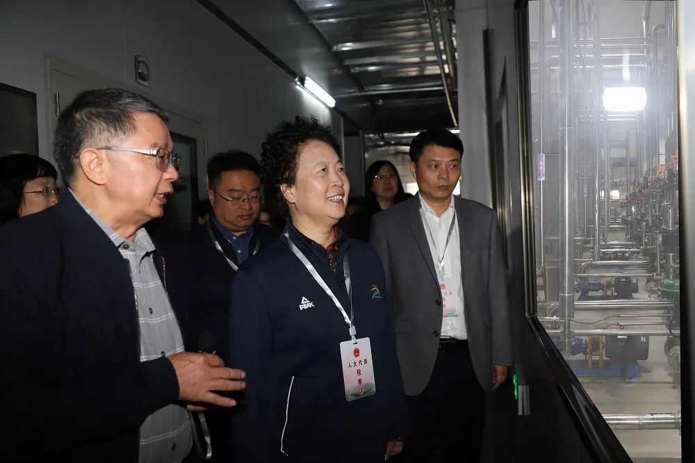 桂林吉福思罗汉果有限公司