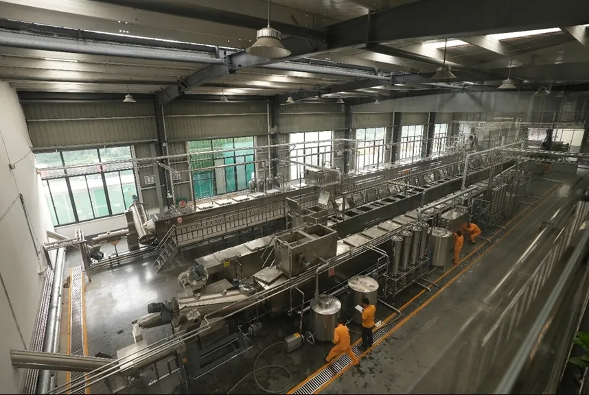 桂林吉福思罗汉果有限公司